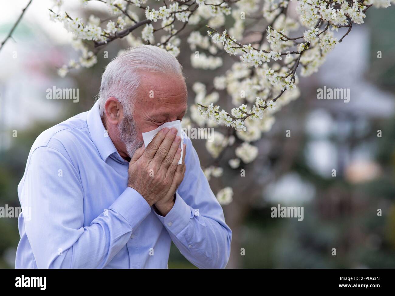 Uomo anziano con sintomi allergici starnuti nel tessuto. Anziani affetti da febbre da fieno tosse all'esterno. Foto Stock