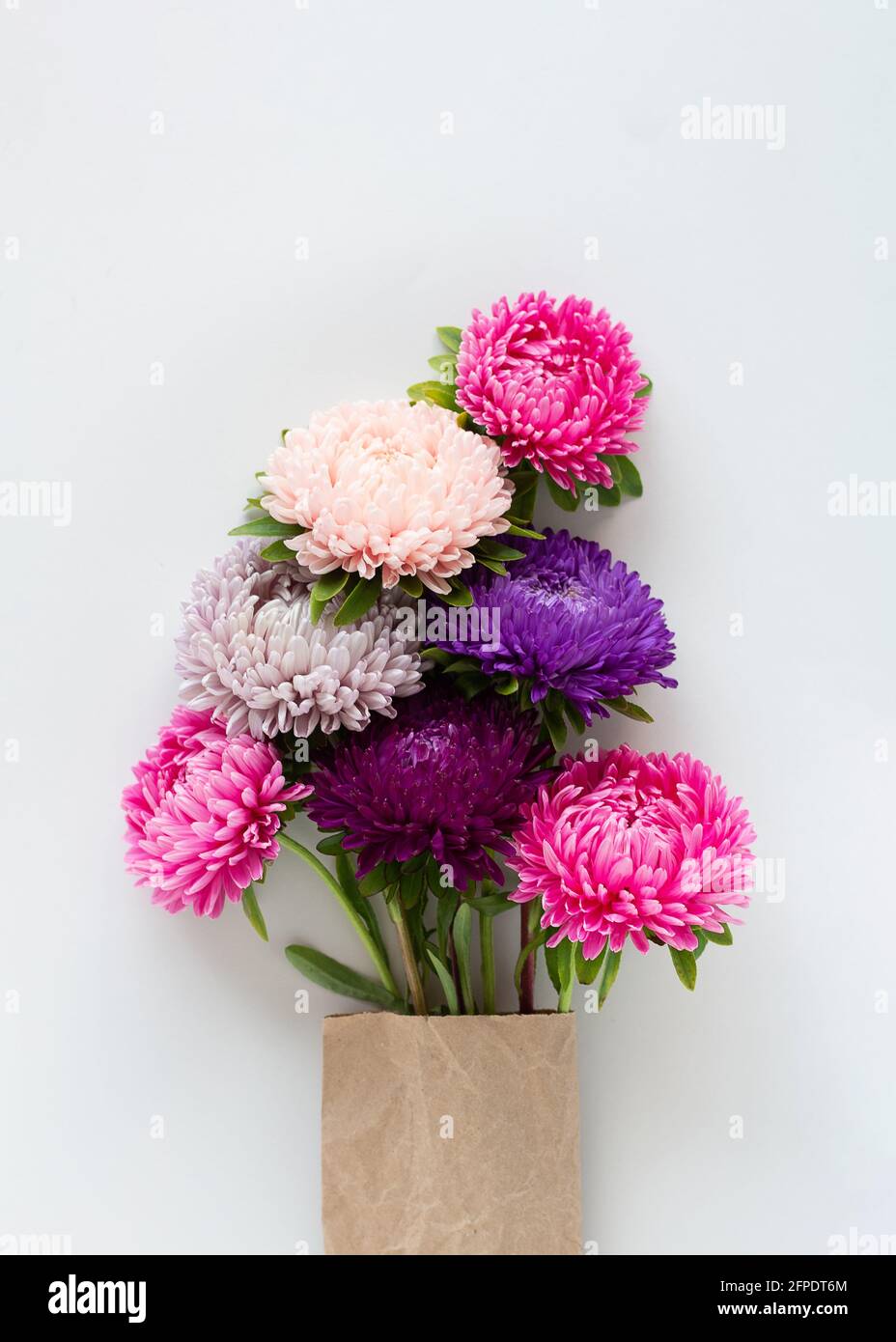 Bel bouquet di coloratissimi asters impaccati in carta artigianale su sfondo grigio chiaro. Foto Stock