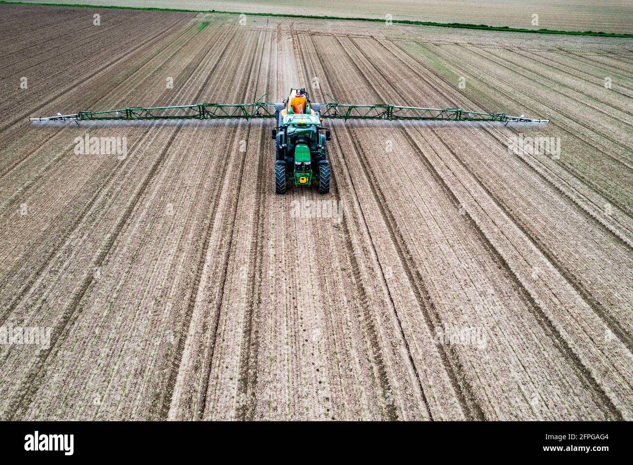 Coltivatore che lavora un campo, prodotto di protezione delle colture è spruzzato su, campo con giovani piante di barbabietola da zucchero, NRW, Germania Foto Stock