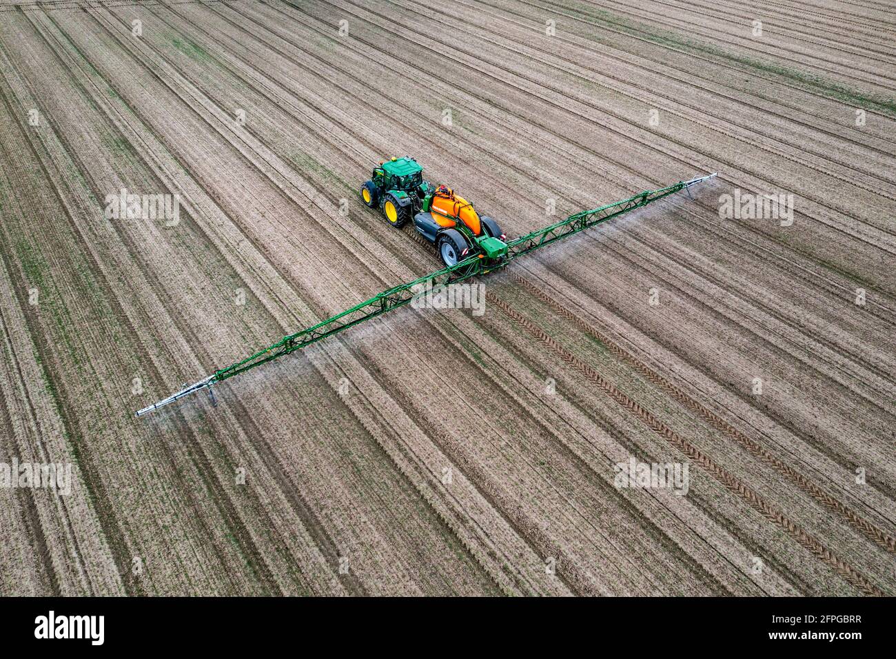 Coltivatore che lavora un campo, prodotto di protezione delle colture è spruzzato su, campo con giovani piante di barbabietola da zucchero, NRW, Germania Foto Stock