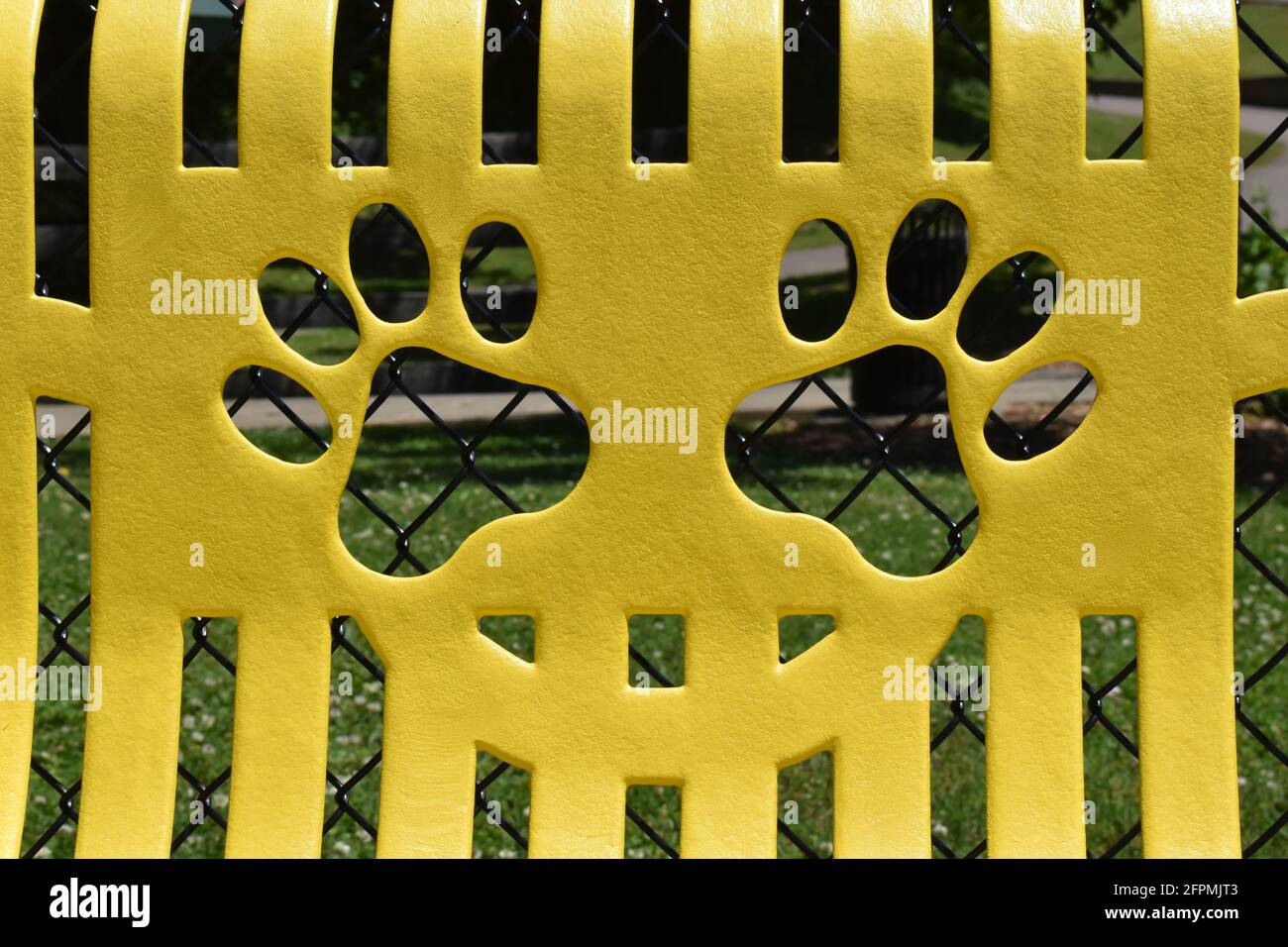 Pedine su panca gialla del parco in un parco per cani. Foto Stock