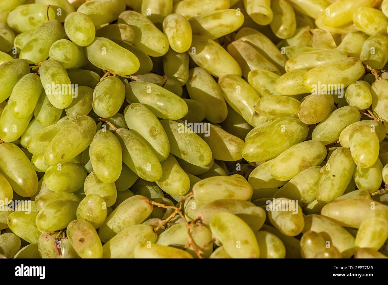 Un sacco di uve mature e deliziose. Foto Stock