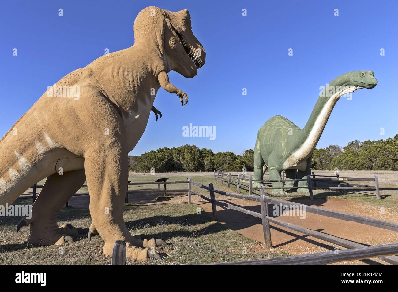 Texas/USA - 13 marzo 2018: Due dinosauri al Dinosaur Valley state Park, Texas. Big T-Rex e statue di Apatosauro fuori. Foto Stock