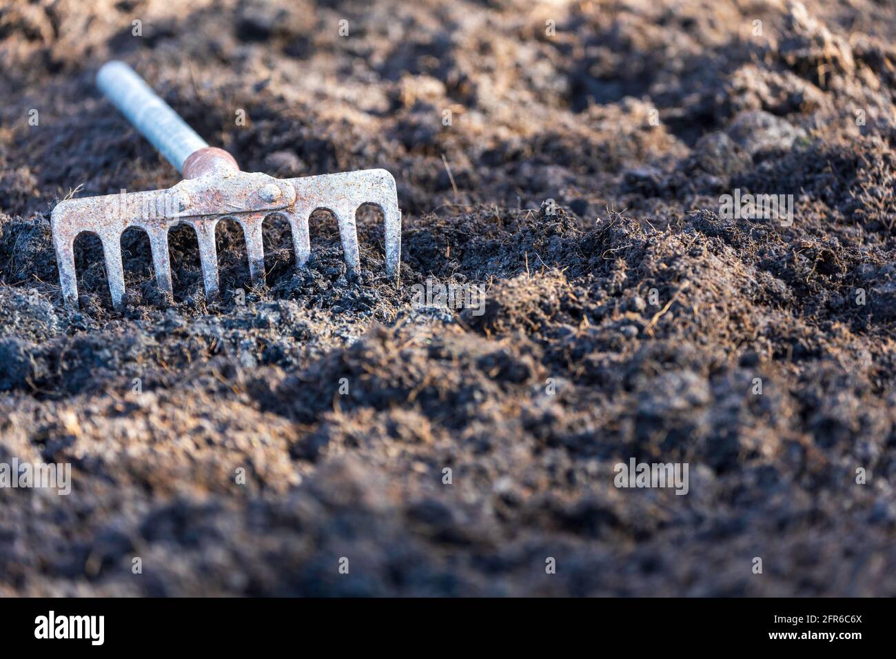 Un vecchio rastrello è messo su un mucchio di suolo dopo che coltivatori preparano il suolo per piantare. Foto Stock