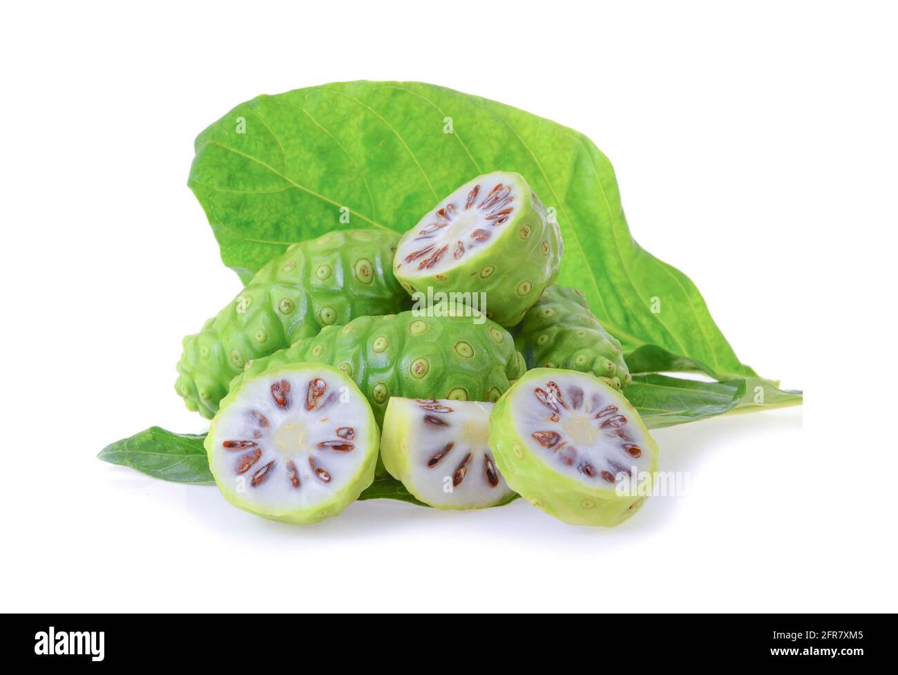 Morinda citrifolia su sfondo bianco Foto Stock