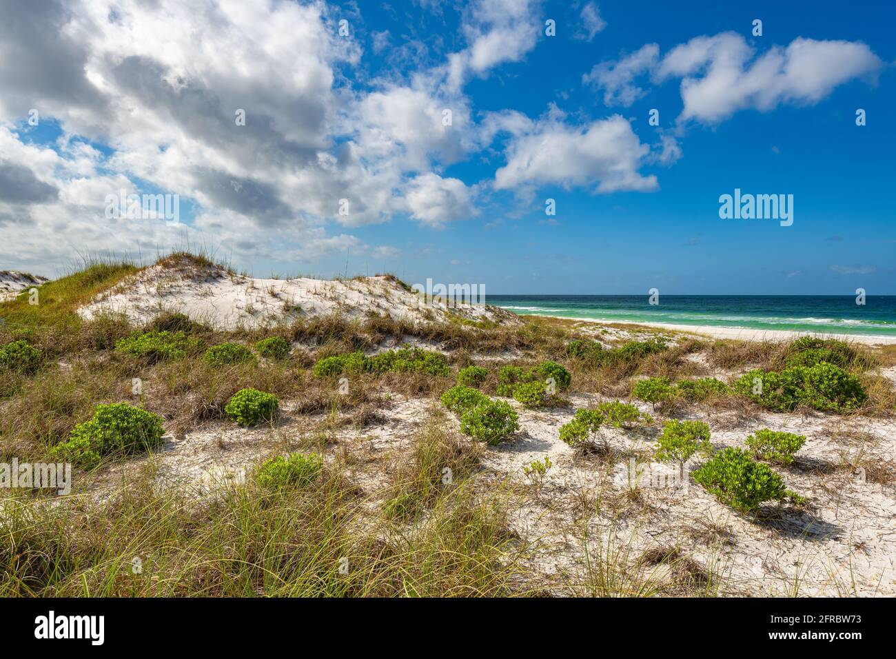 Il Golfo del Messico al St. Andrews state Park. Sabbia dune di mare avena Foto Stock