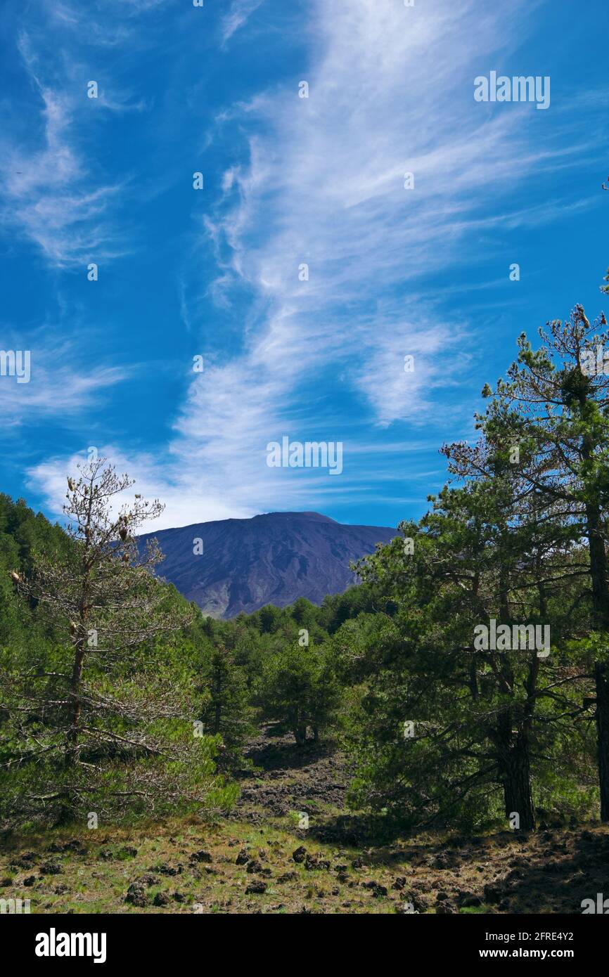 Etna e Sicilia natura, cielo blu, nuvole bianche e pineta verde Foto Stock