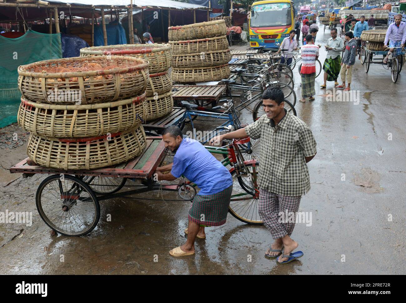 Il mercato all'ingrosso del pollo al bazar di Karwan a Dhaka, Bangladesh. Foto Stock