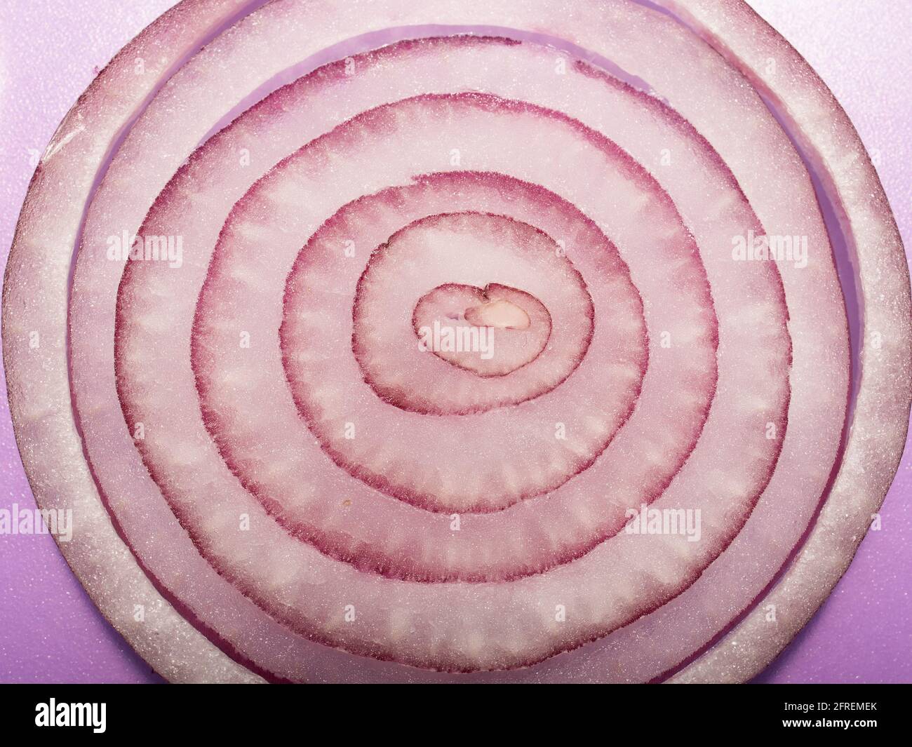 Anelli di cipolla rossa, primo piano di cipolla rossa a fette Foto Stock
