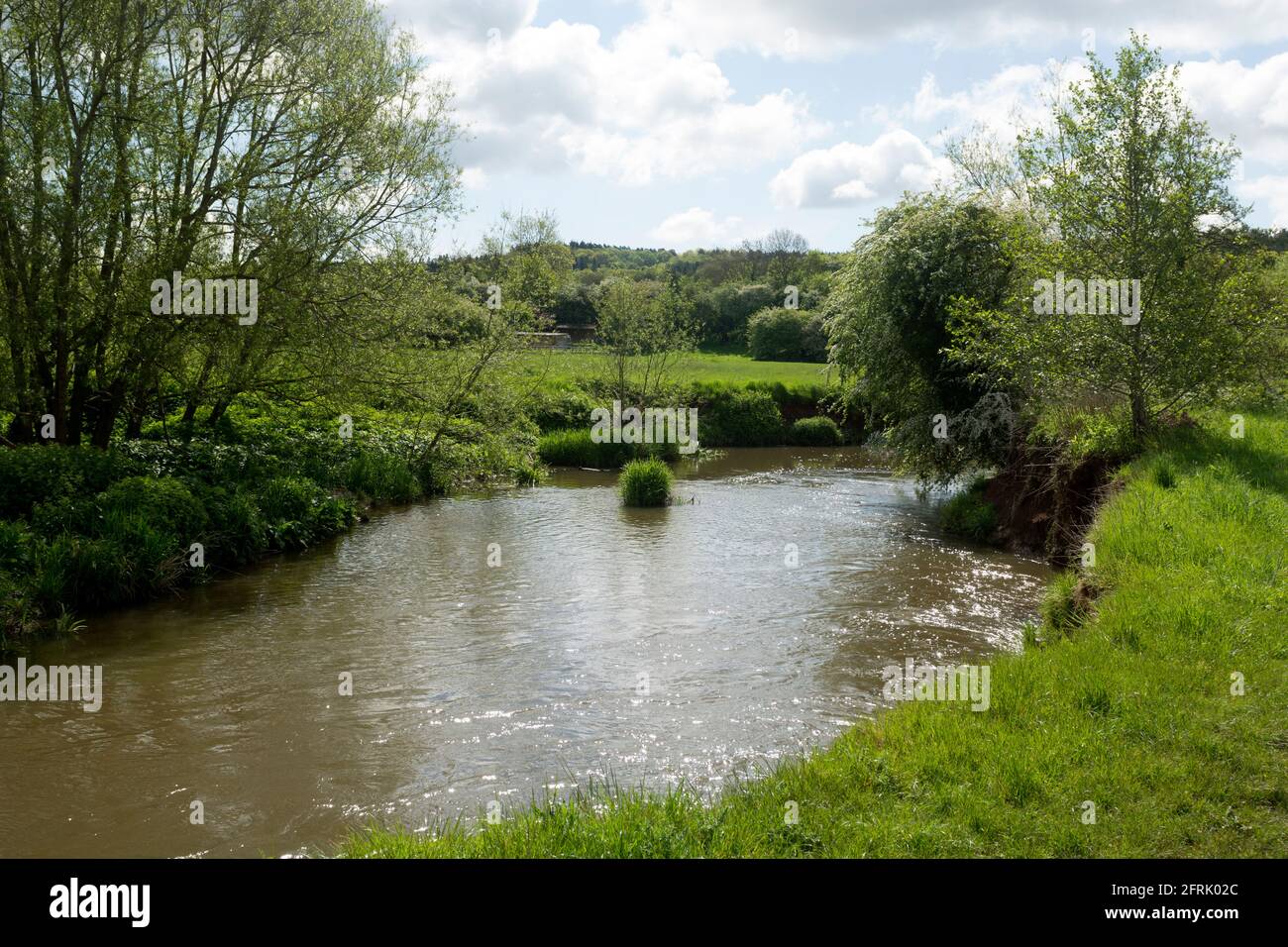 La freccia del fiume in primavera, Alcester, Warwickshire, Inghilterra, Regno Unito Foto Stock