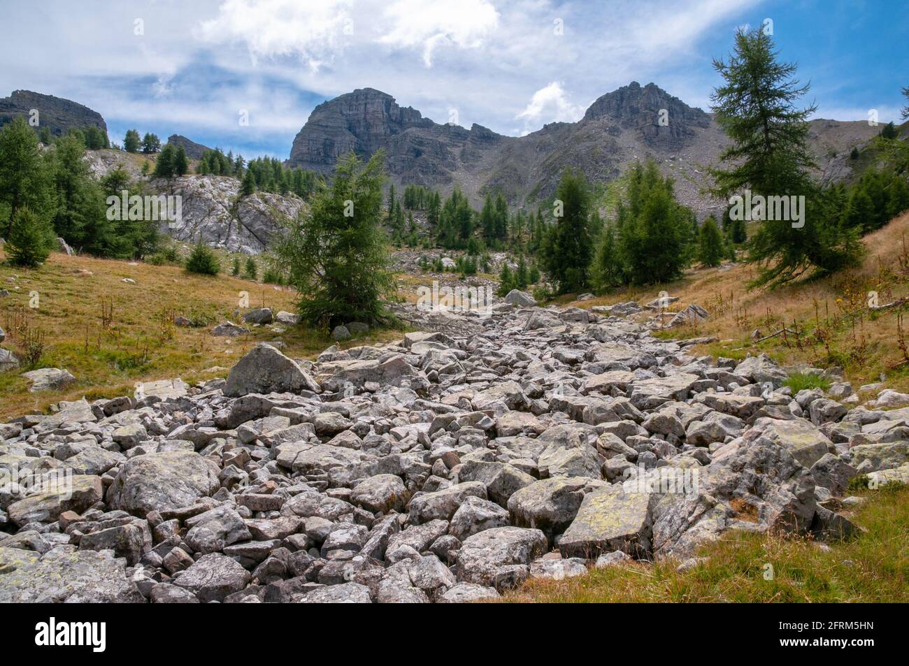 Rocce sparse lungo una gola, Parco Nazionale del Mercantour, Alpes-de-Haute-Provence (04), Francia. Foto Stock