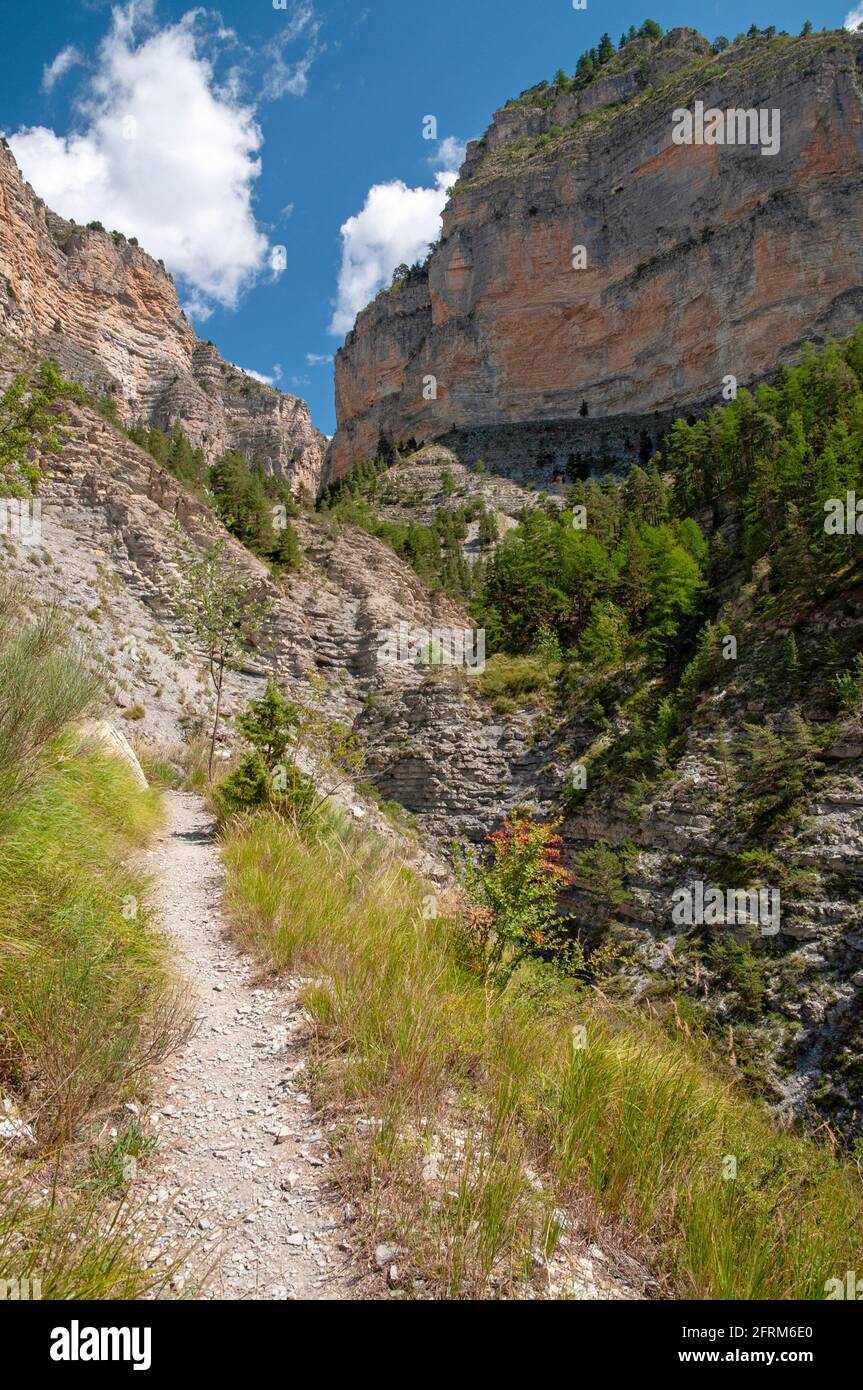 Gorges de Saint-Pierre vicino Colmars-les-Alpes, Alpes-de-Haute-Provence (04), Provence-Alpes-Côte d'Azur regione, Francia. Foto Stock