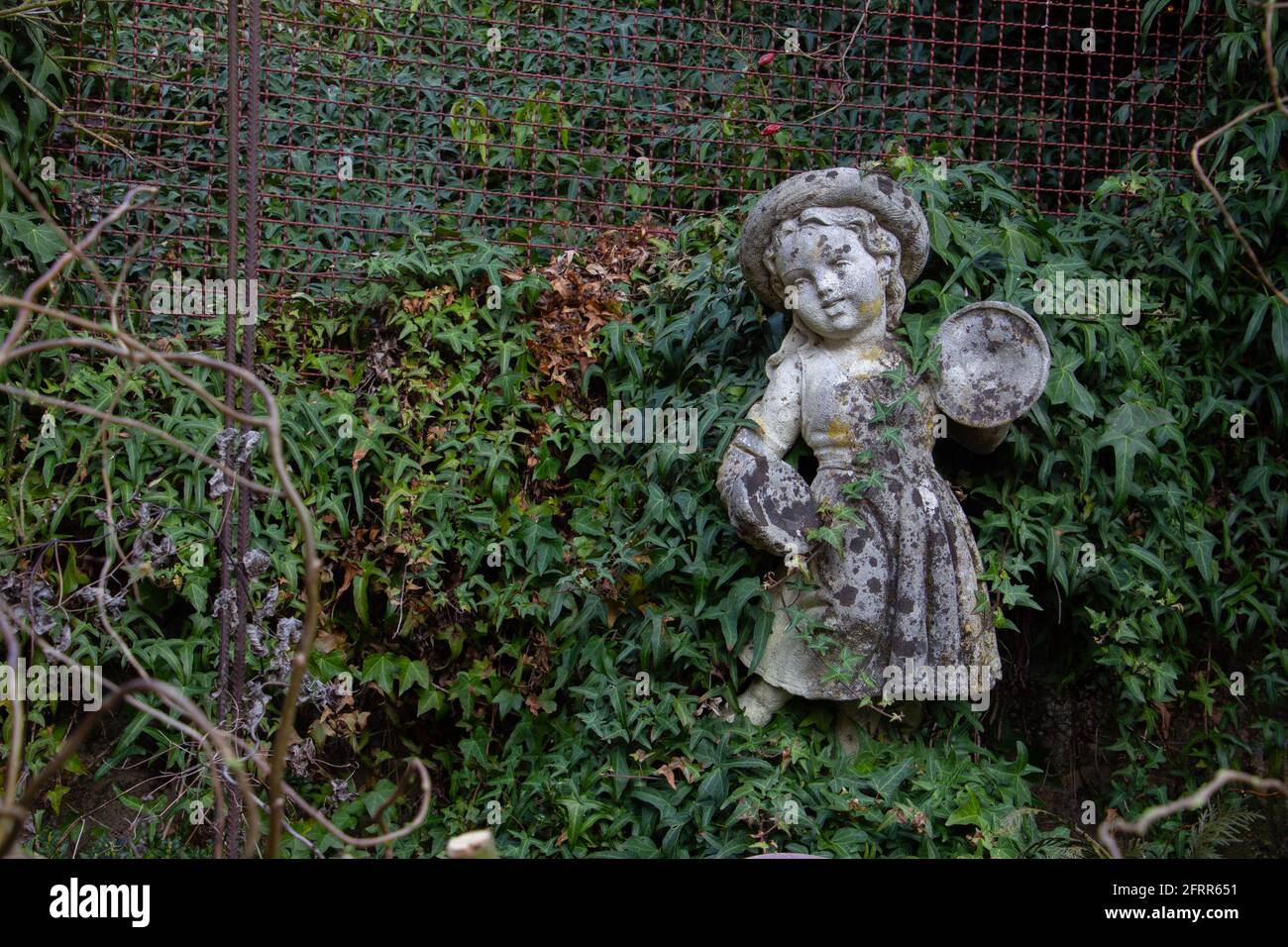 Vecchia statua bianca intemperie di una ragazza che gioca Clash Cymbals circondato da edera e spazio per la copia Foto Stock
