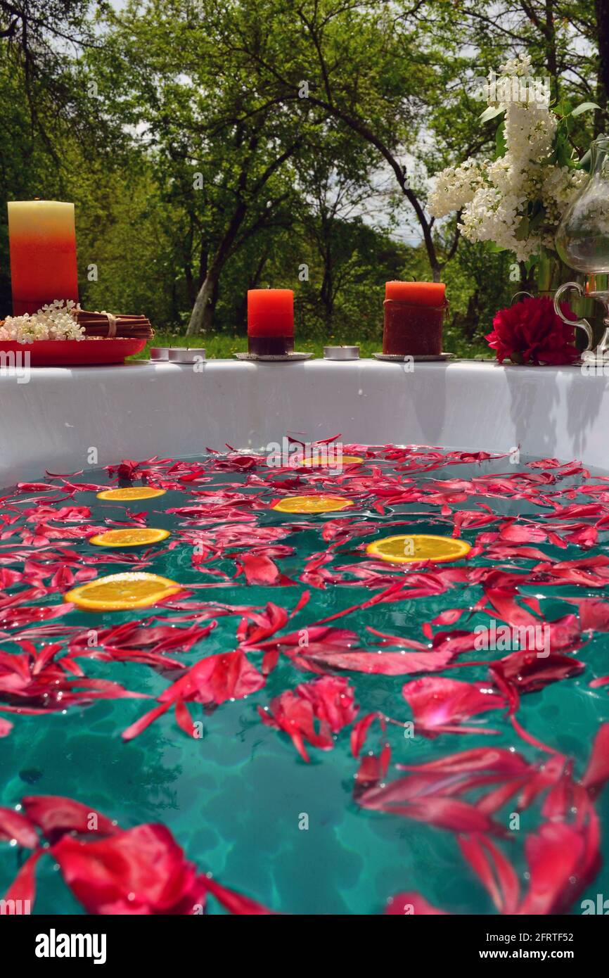 Sfondo astratto con fiori di pony rosso e fette arancioni in una vasca da bagno all'aperto Foto Stock