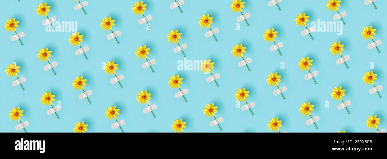 Striscione realizzato con motivo floreale. Fiore giallo naturale fresco incollato con cerotto adesivo su fondo blu. Medicina di concetto, salute e naturopata Foto Stock