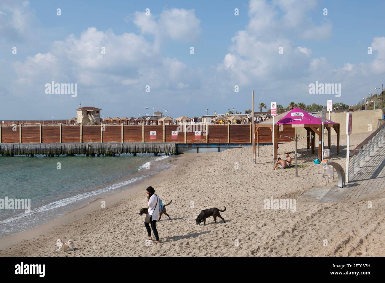 Una donna passeggiava con il suo cane e i cani randagi su una spiaggia dedicata per cani a Tel Aviv. Israele Foto Stock
