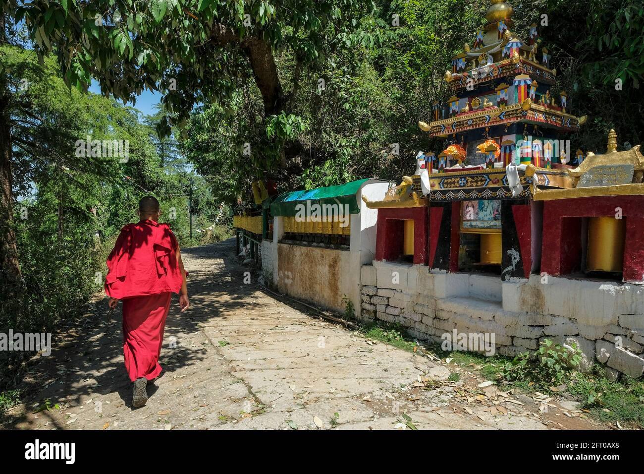 McLeod Ganj, India - 2021 maggio: Un monaco buddista che cammina intorno al complesso di Tsuglagkhang il 21 maggio 2021 a Dharamshala, Himachal Pradesh, India. Foto Stock
