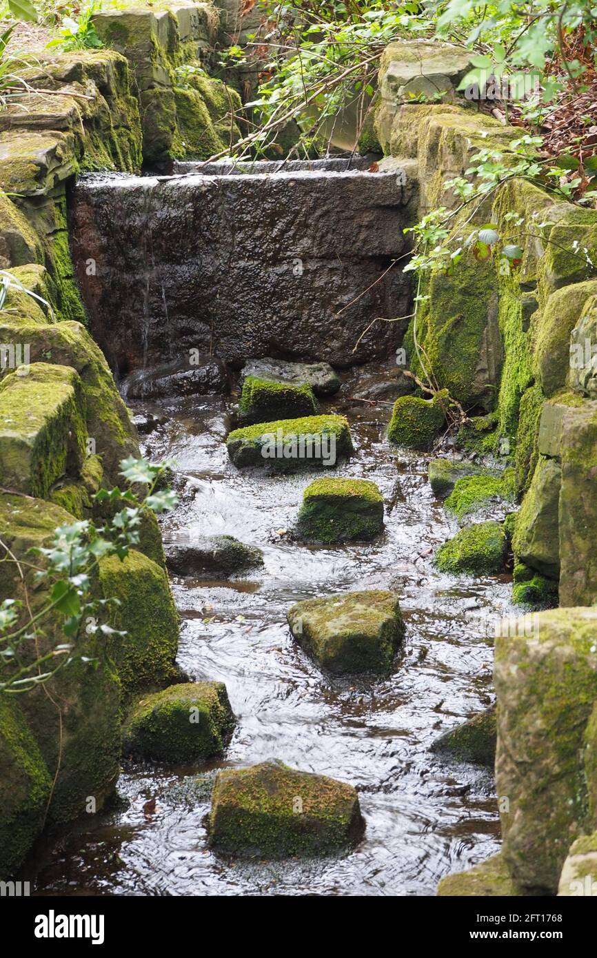 Corso d'acqua nei terreni della Keele Hall Foto Stock