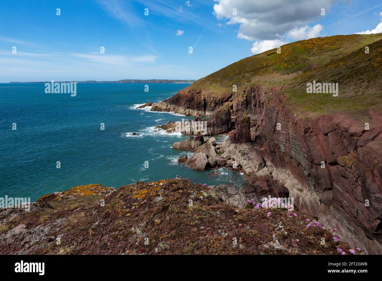 Vista sul mare e le scogliere sul sentiero costiero di Pembrokeshire vicino a Tenby e Manorbier, Galles Foto Stock