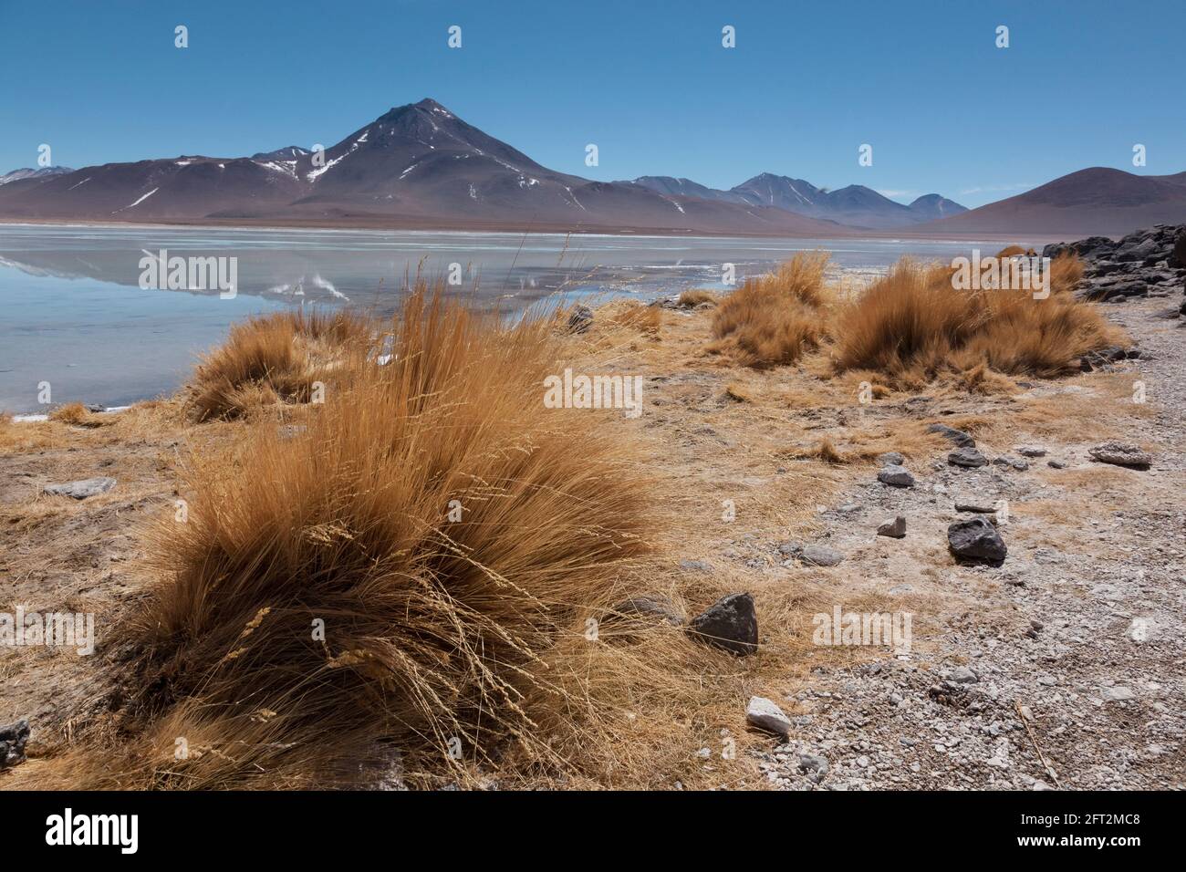 L'impressionante Laguna Verde al confine tra Cile e Bolivia. Accesso tramite percorsi nel deserto, di solito come parte di un gruppo di safari terrestre Foto Stock