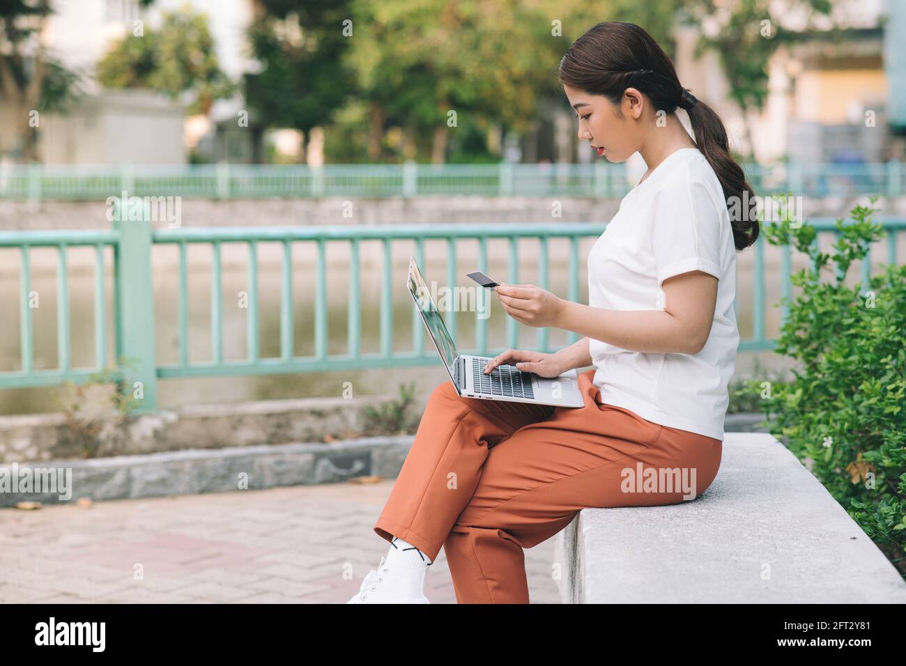 Shopper ragazza acquisto online con un computer portatile e carta di credito seduto in un parco in estate Foto Stock