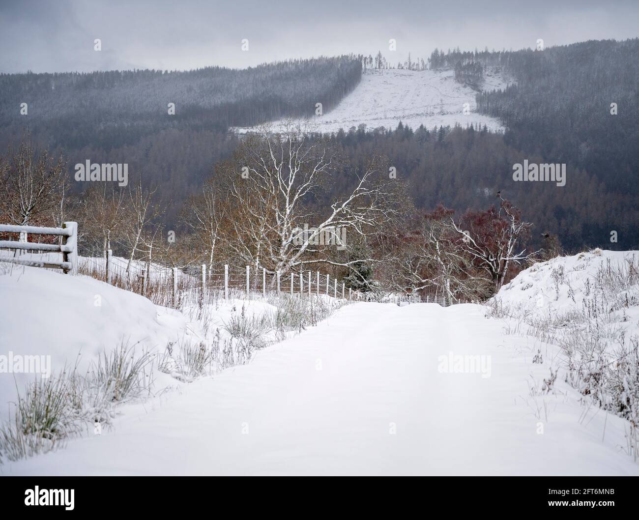 un terreno agricolo in collina bloccato dalla neve Foto Stock