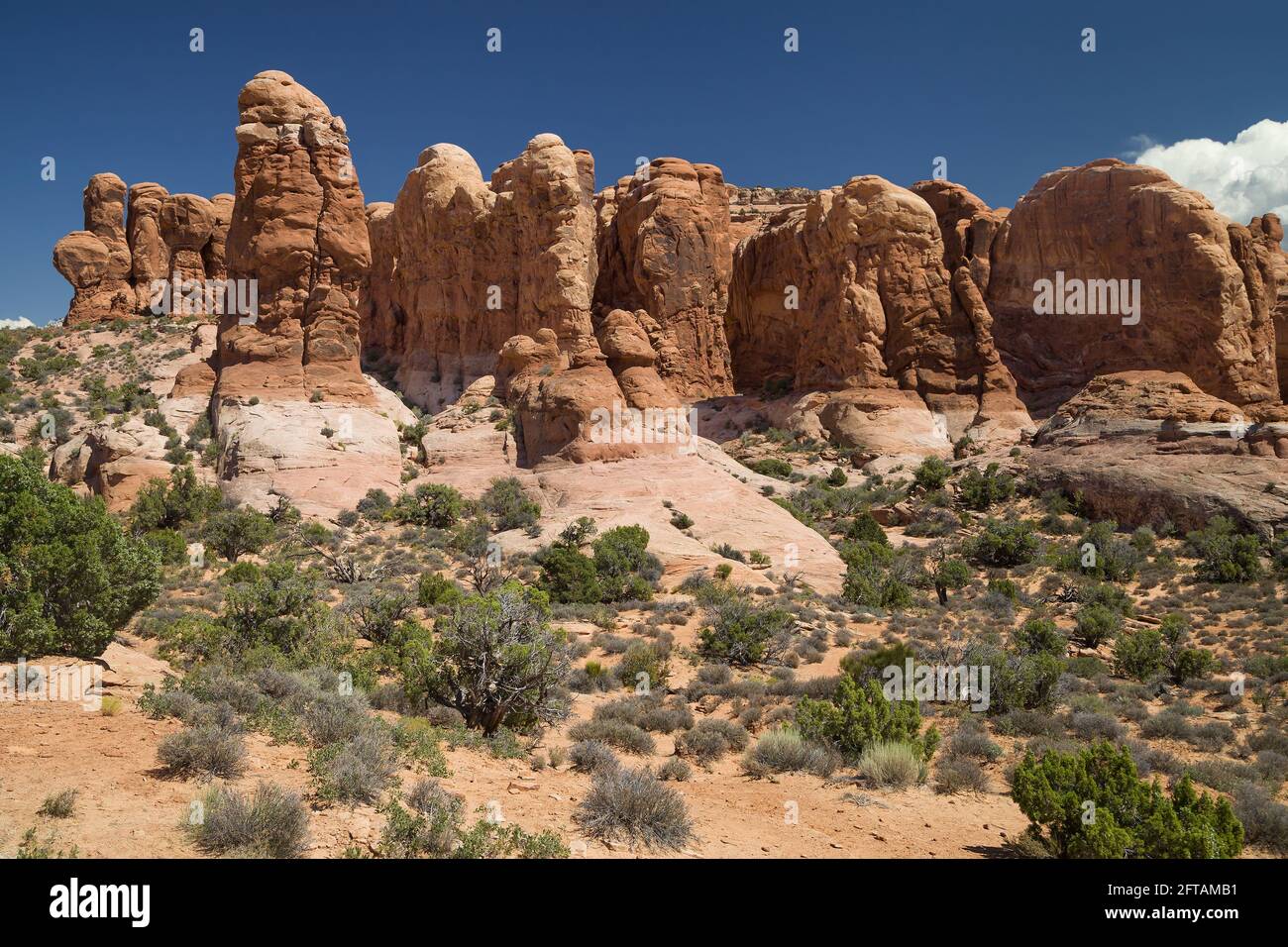 Rock Pinnacles al Garden of Eden nel Parco Nazionale di Arches, Utah, USA. Foto Stock