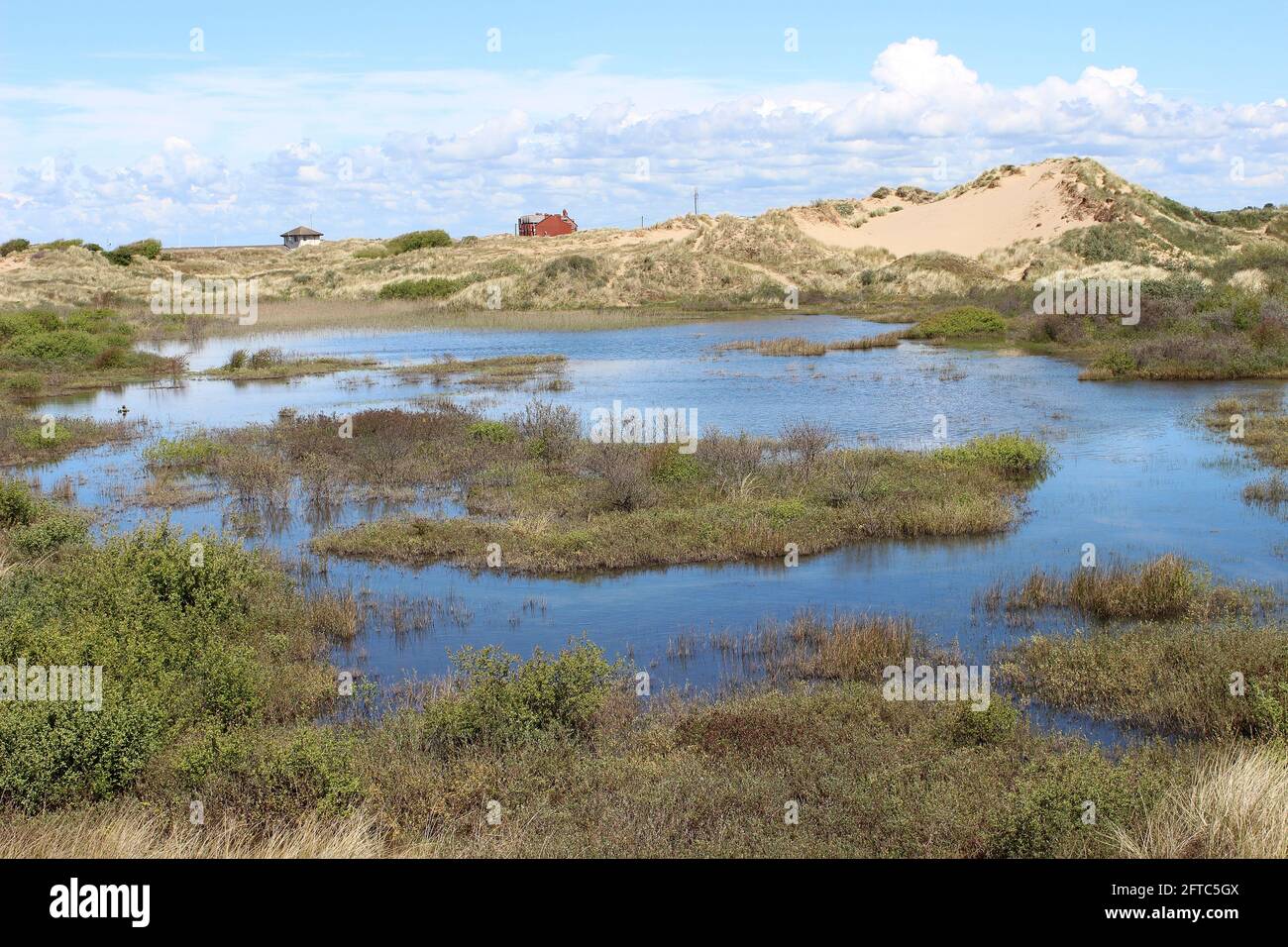 Dune Slack presso la riserva naturale di Ainsdale Dunes, Regno Unito Foto Stock