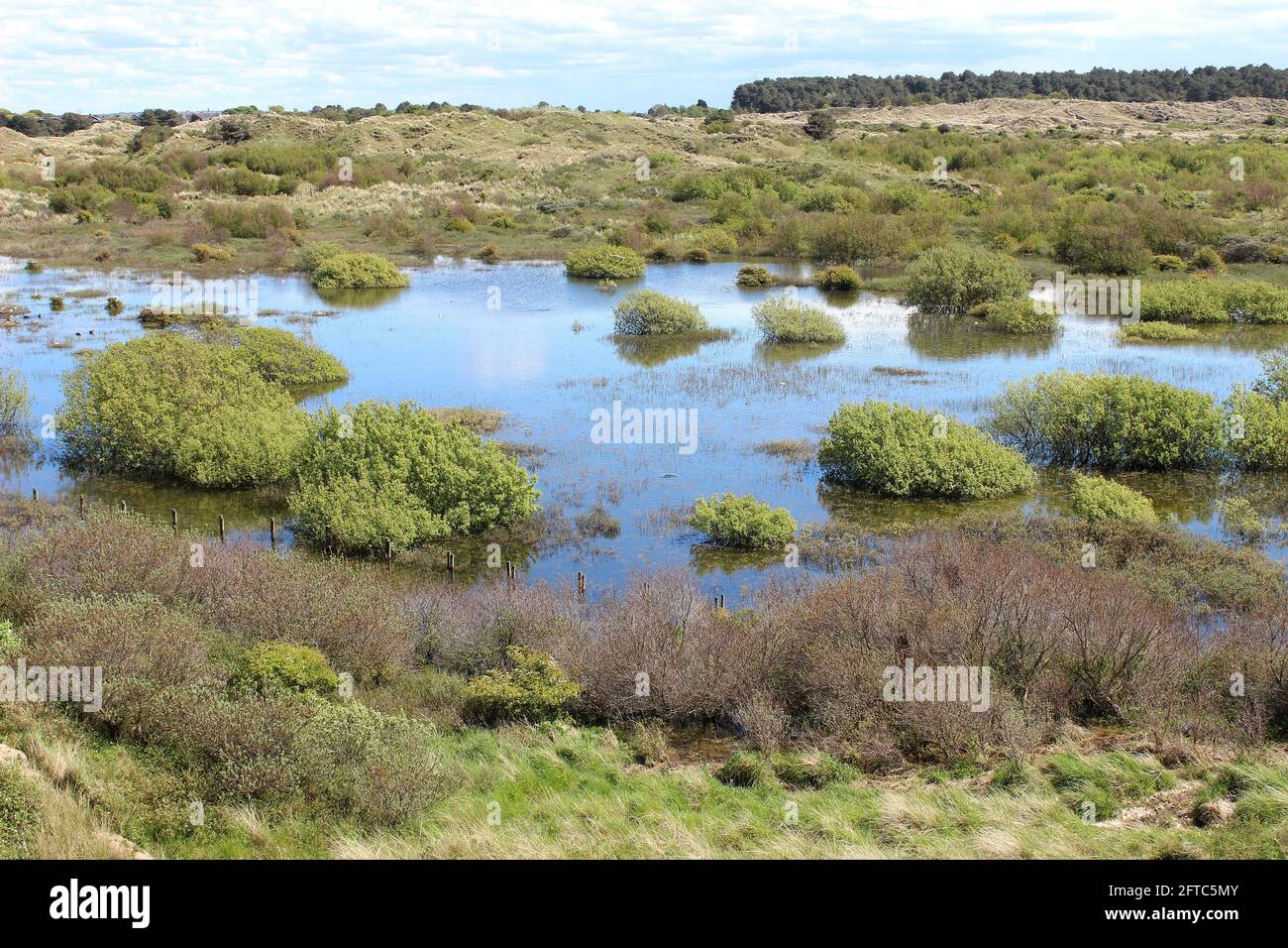 Riserva Naturale Nazionale di Ainsdale con alti livelli d'acqua in Dune Slack maggio 2021 Foto Stock