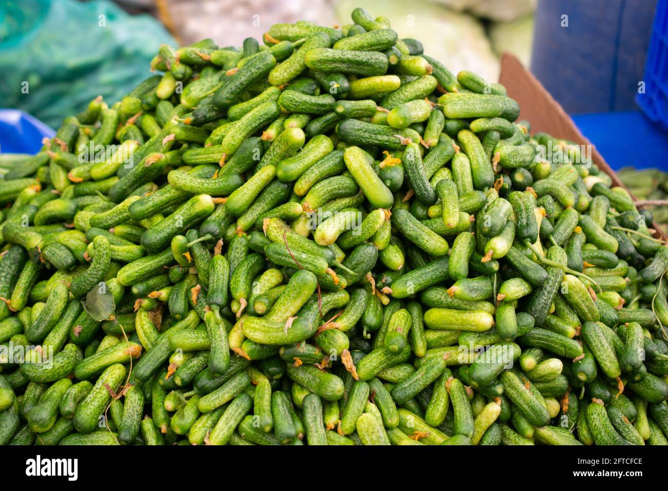 Mazzetto verde fresco di cetrioli in vendita sul mercato locale. Foto Stock