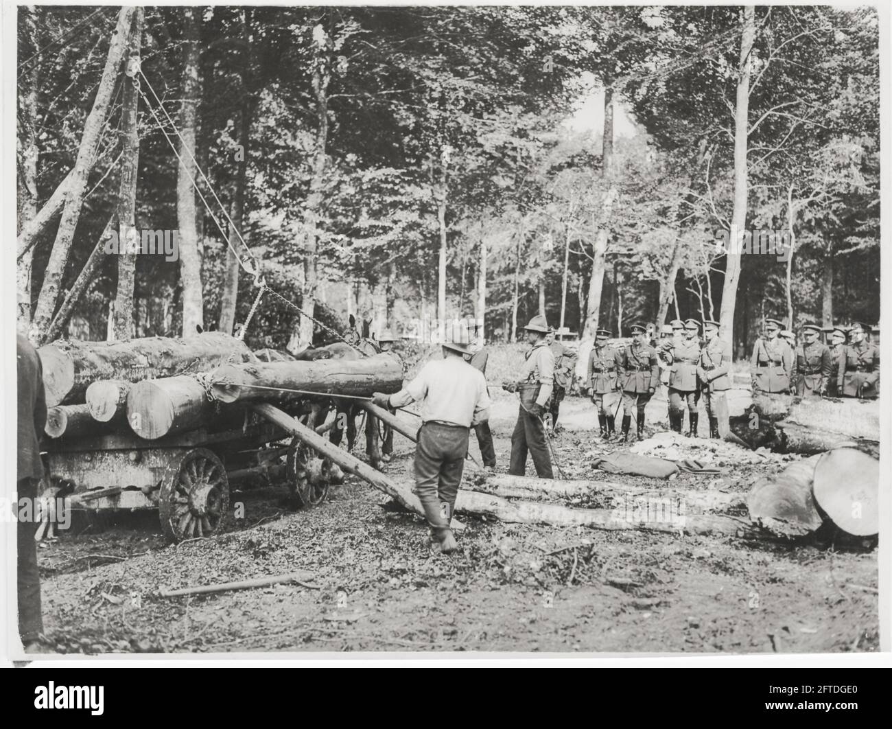 Prima guerra mondiale, prima guerra mondiale, fronte occidentale - sua Maestà Re Giorgio V che guarda i logger al lavoro in una foresta francese Foto Stock