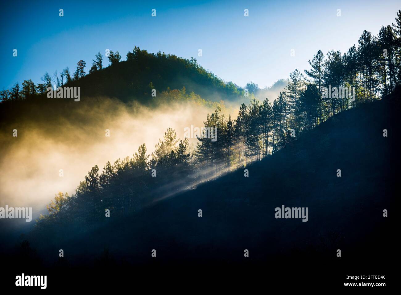 Parco Nazionale delle foreste Casentinesi, Badia Prataglia, Toscana, Italia, Europa. Luce solare. Foto Stock