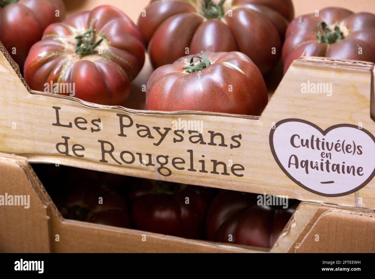 Scatola di cartone di pomodori Beefsteak Foto Stock