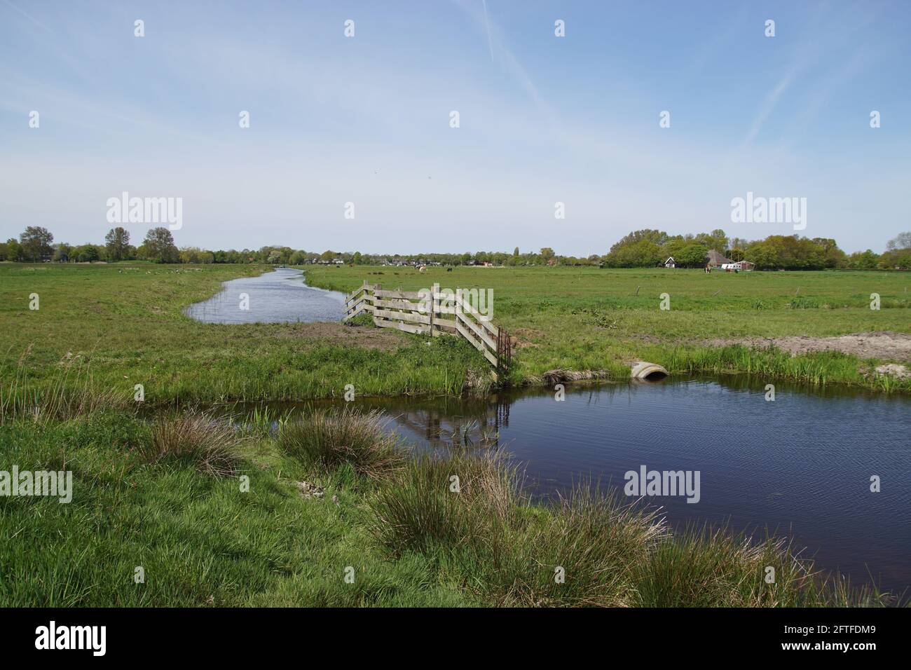 Paesaggio pascolo. Vista sui prati, un cancello prato e fosso nella zona naturale, polder Saenegheest vicino al villaggio olandese di Bergen. Primavera, Olanda Foto Stock