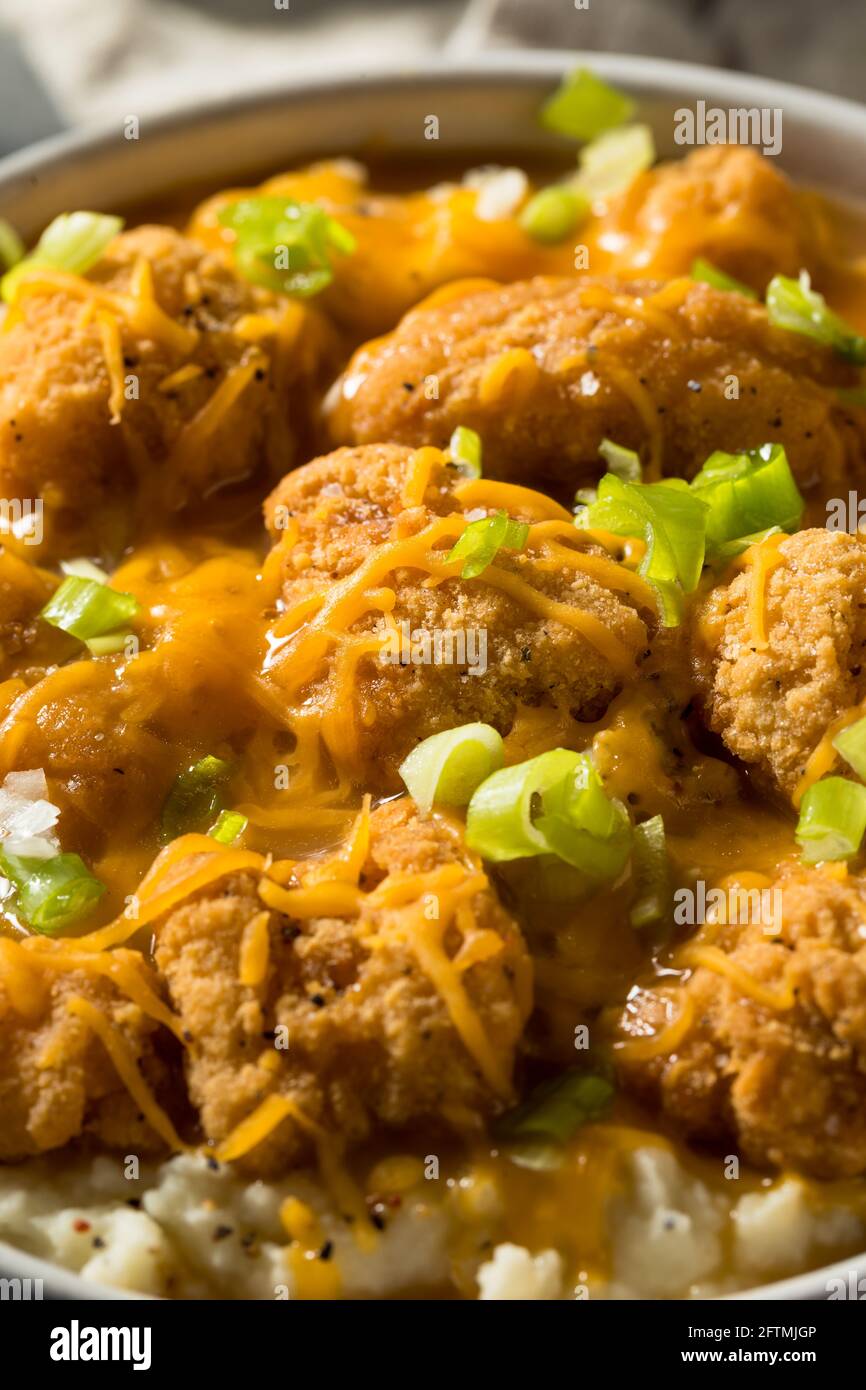 Ciotola di patate fritte fatte in casa con formaggio e sugo di carne Foto Stock