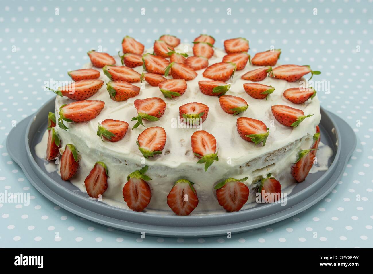 Cheesecake di fragole isolato su sfondo turchese punteggiato bianco decorato con fragole fresche. Foto Stock