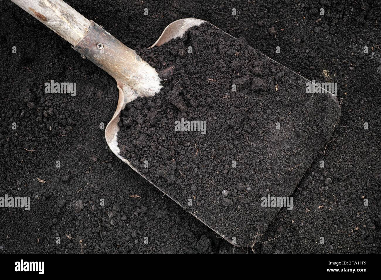 Terreno in una pala. Primo piano. Foto Stock