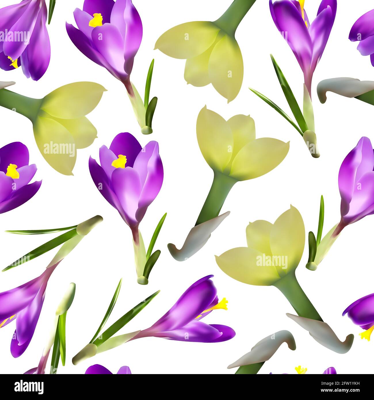 motivi senza giunture con crocche e narcisi su sfondo bianco Illustrazione Vettoriale