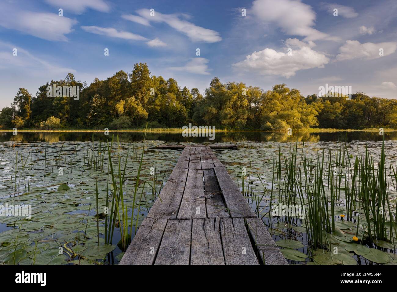 Il fiume Sava nel Parco Naturale di Lonjsko polje, Croazia Foto Stock