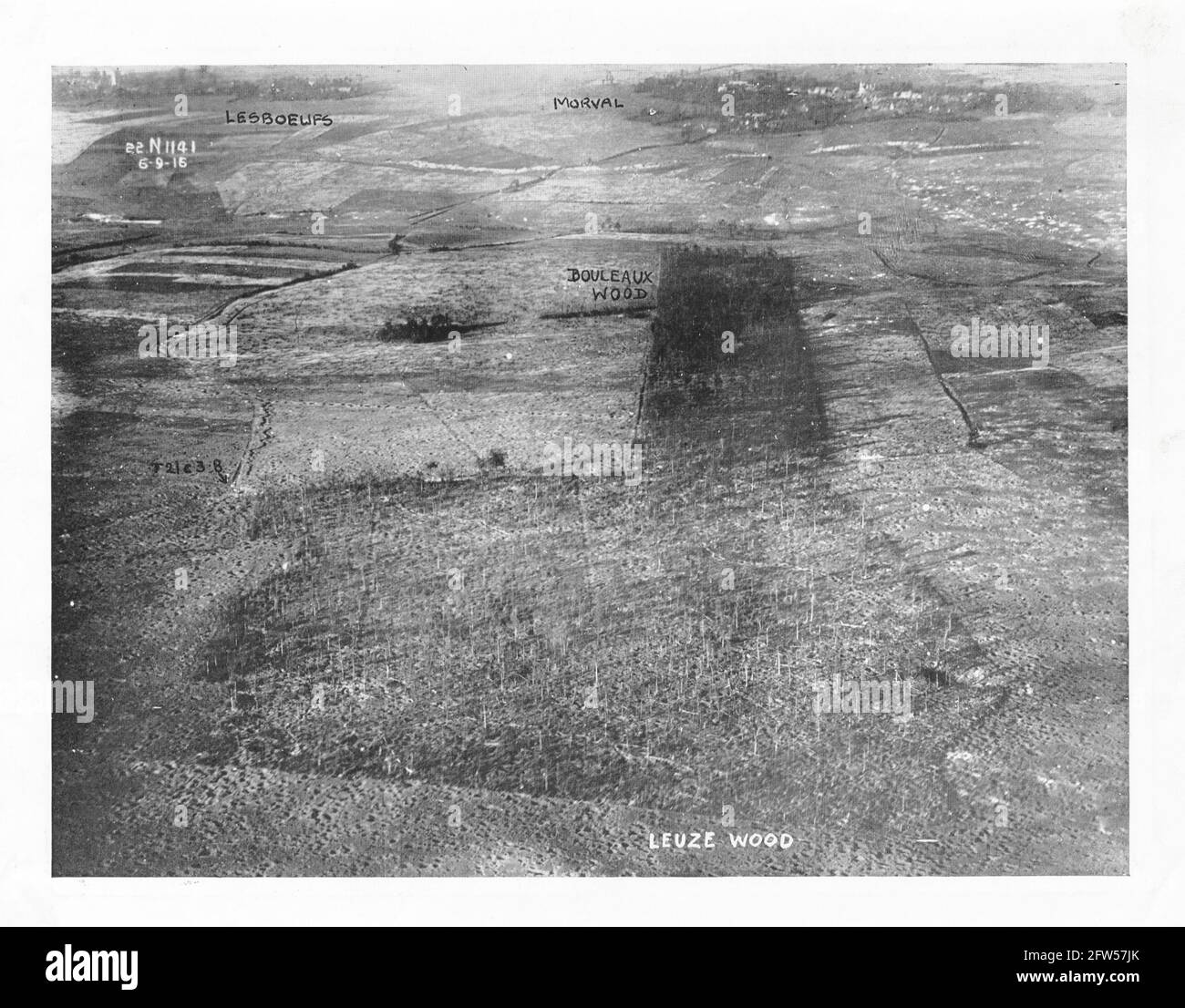 Prima guerra mondiale, prima guerra mondiale, fronte occidentale - immagine ricognizione - Bouleaux Wood, Leuze Wood, vicino a Lesboeufs, Somme Department, Hauts-de-France, Francia Foto Stock