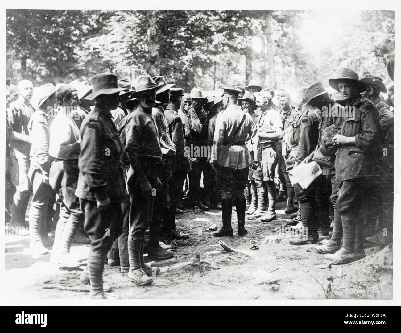 Prima guerra mondiale, prima guerra mondiale, fronte occidentale - il generale Birdwood incontra le truppe australiane in un bosco dopo la battaglia, la Francia Foto Stock