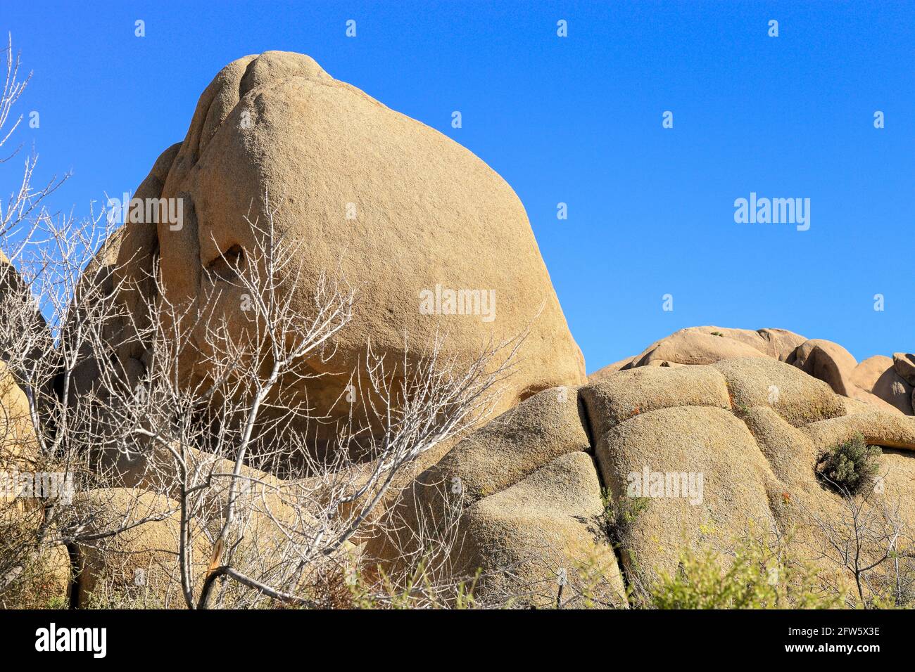 Un enorme tumulo di rocce chiamato 'roccia di scoglio' che assomiglia a a. Cranio umano al parco nazionale di Joshua Tree Foto Stock