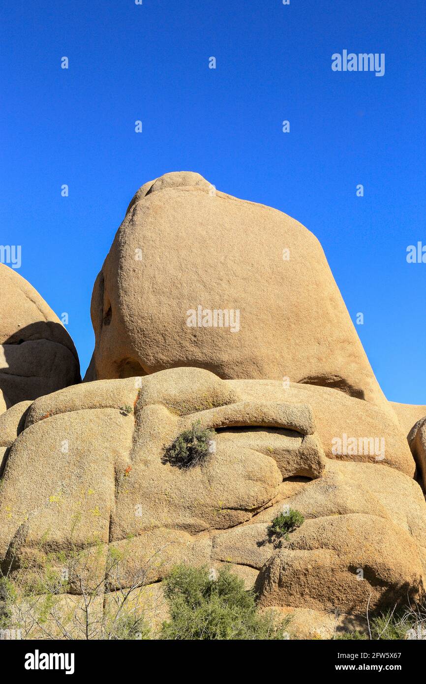 Un enorme tumulo di rocce chiamato 'roccia di scoglio' che assomiglia a a. Cranio umano al parco nazionale di Joshua Tree Foto Stock