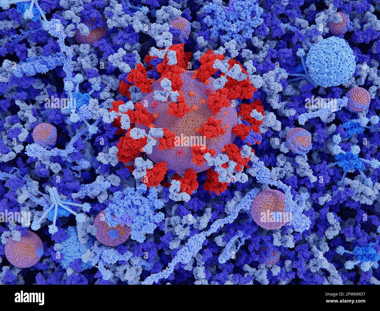 Coronavirus nel plasma sanguigno, illustrazione Foto Stock