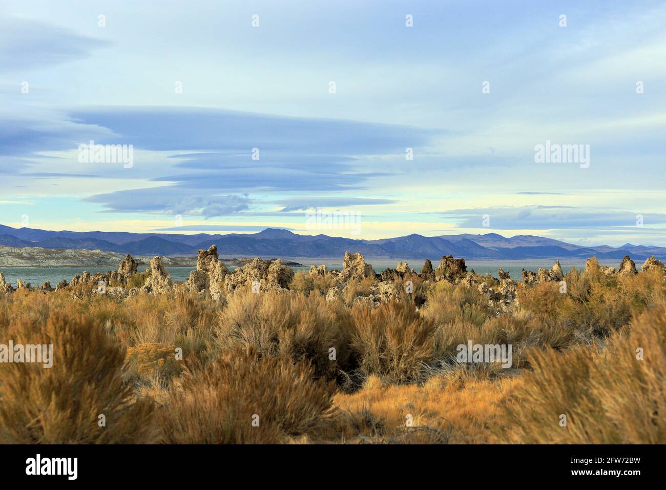 Una vista delle vegetazioni intorno al lago Mono dalla passerella in un pomeriggio tempestoso, la California Foto Stock