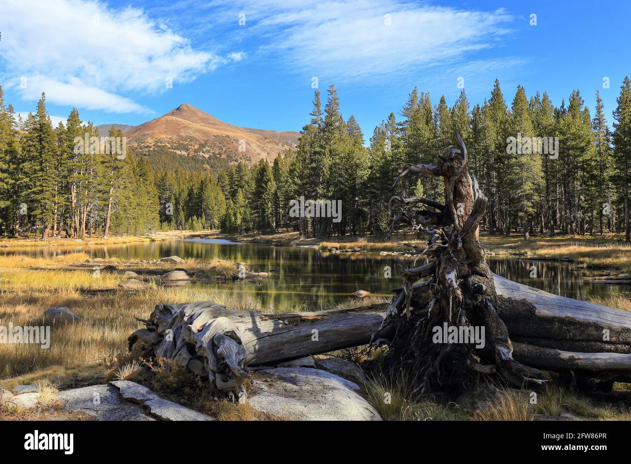 Uno splendido scenario sul lato di Tioga Road con il Monte Dana e il Monte Gibbs sullo sfondo, il Parco Nazionale di Yosemite Foto Stock