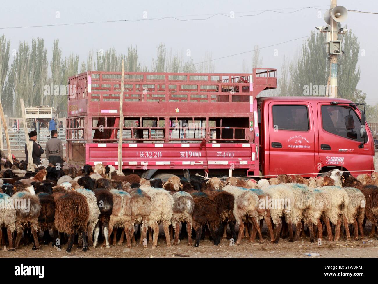 Domenica Animali fiera vicino Kashgar, Xinkiang, Repubblica popolare di Cina, 2019 Foto Stock