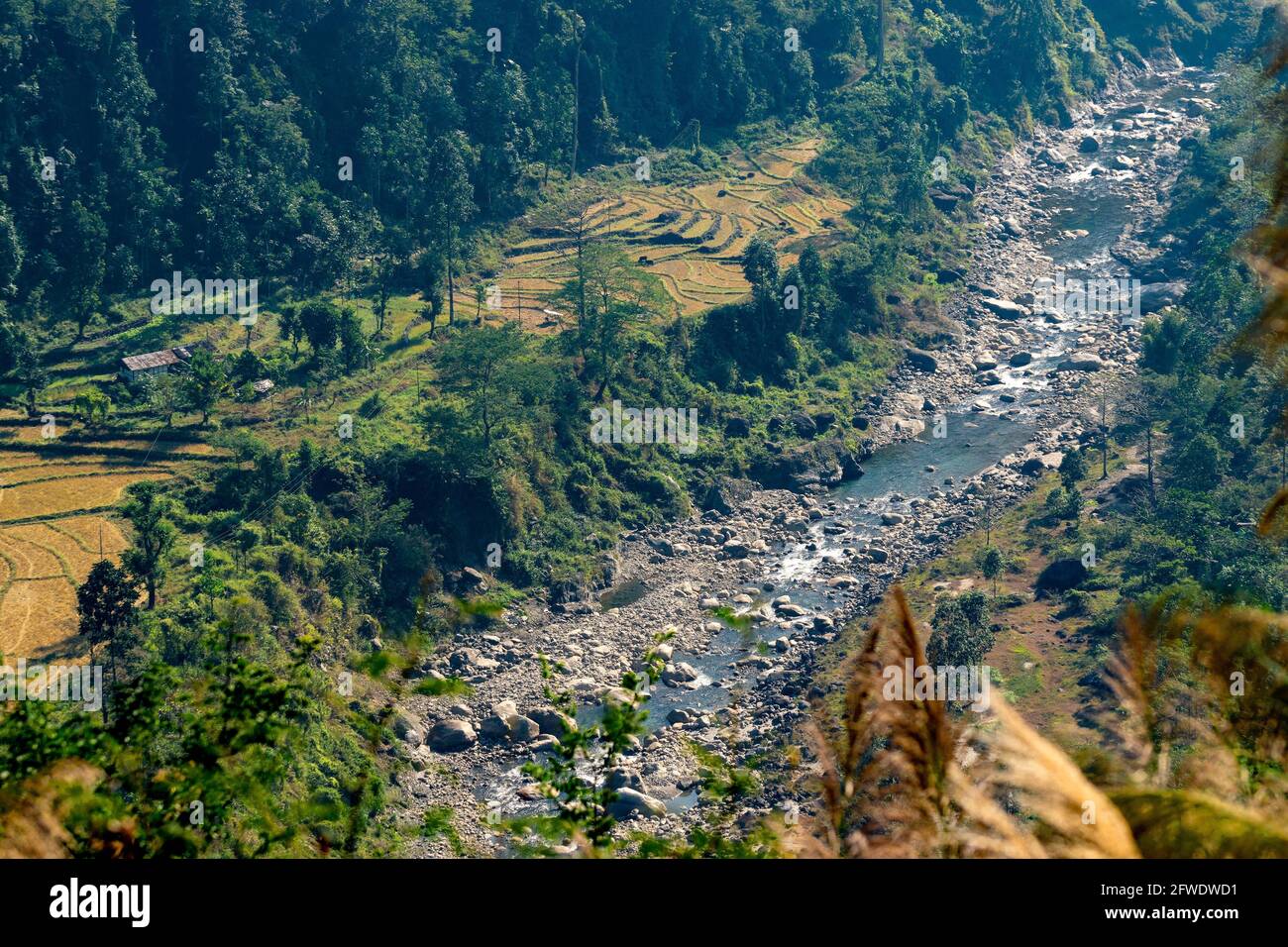 Vista dall'alto del fiume Joldhaka che scorre al di sotto del confine indiano del Bhutan con terreni agricoli sul lato. Immagine scattata a Jhalong, Bengala del Nord - Dooars Foto Stock