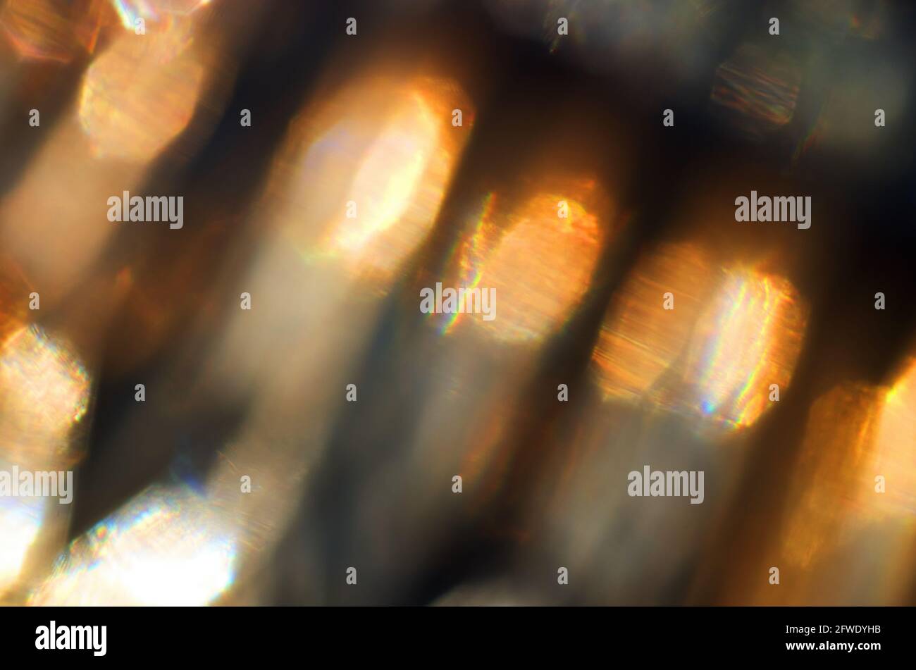 primo piano di una luce calda attraverso il vetro Foto Stock