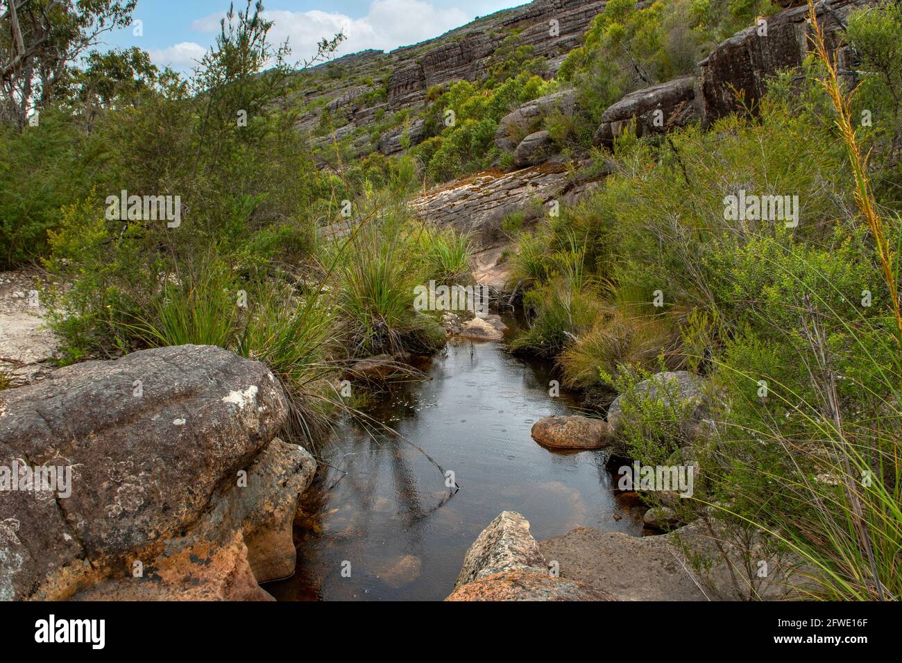 Stagno sulla pista per il Grand Canyon, Grampians National Park, Victoria, Australia Foto Stock